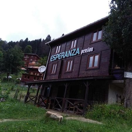 Esperanza Apart & Pension Pensionat Ayder Yaylasi Exteriör bild
