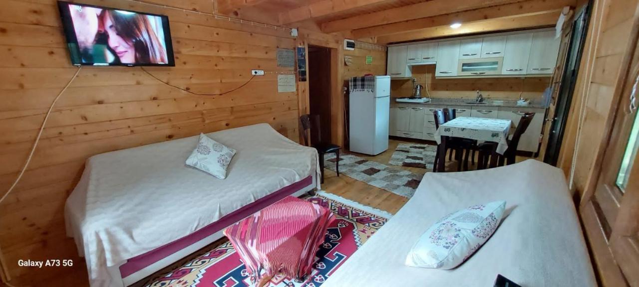 Esperanza Apart & Pension Pensionat Ayder Yaylasi Exteriör bild