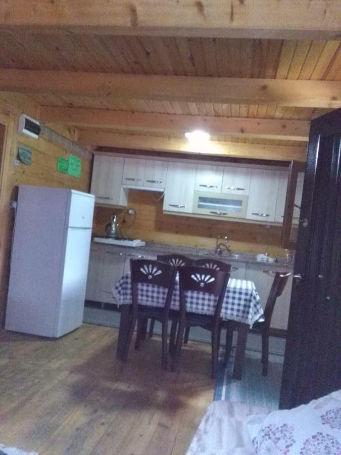 Esperanza Apart & Pension Pensionat Ayder Yaylasi Exteriör bild
